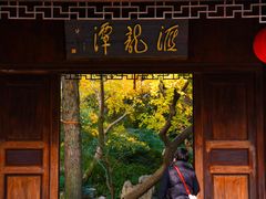 -汇龙潭