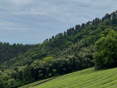 -敬亭山风景名胜区