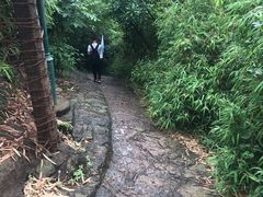 -西湖风景区十里琅珰-五云山