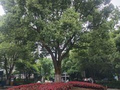 -杭州半山国家森林公园