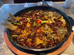 -老板恋上鱼(恒隆广场店)