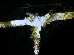 -梭布垭石林景区