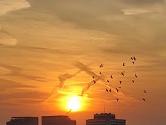 -白石桥南(地铁站)