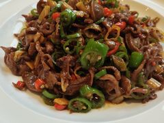 -北京老铺烤鸭(高新店)