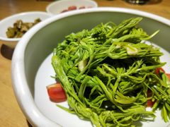 炝拌松尖-潮粥荟·潮汕砂锅粥(朝阳大悦城店)