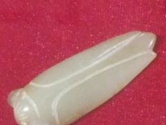 -上海昆虫博物馆