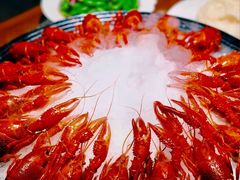 冰镇小龙虾-阿甘龙虾·重庆麻麻鱼(中豪店)