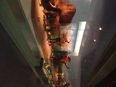 -大庆市博物馆