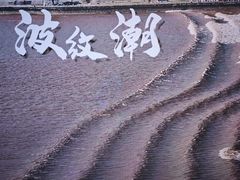-观潮胜地公园