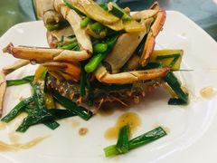 姜葱炒花蟹-新金盛·海鲜酒楼(盐田店)