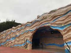 -广东惠东海龟国家级自然保护区