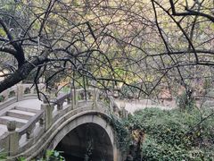 -北寺塔