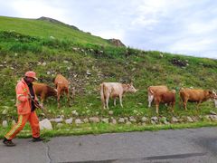 -贡格尔草原