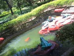 -宋井风景区