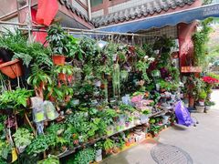 -青石桥花鸟鱼虫市场(叠翠城店)