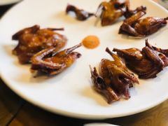 鸽子-hallch好吃餐厅(奥体中心店)