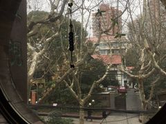-五观堂素食(新华路店)