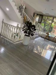 -痘博士昆明·国际祛痘领跑品牌