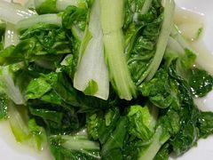 -阿英煲(凉城路店)