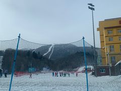-亚布力新体委滑雪场