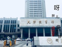-天津图书馆(复康路馆)