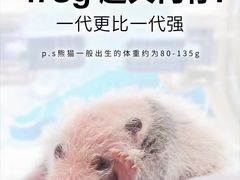 -广州长隆野生动物世界
