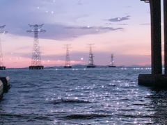 -宝安西湾红树林湿地公园