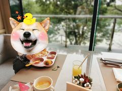 -上海佘山世茂艾美酒店