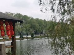 -阮氏酒家(柯桥店)