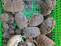 -众味海鲜大排档·活海鲜·潮汕味(南澳店)
