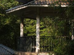 -晓港公园
