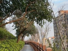 -小南山公园