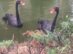 -芭东小镇温泉