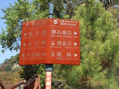 -少华山国家森林公园