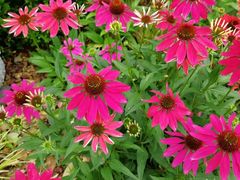 -云漫湖生态度假公园