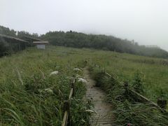 -野三坡百草畔景区