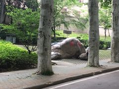 -武汉大学-樱园