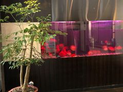 -大唐盲人按摩中心(黄山路店)