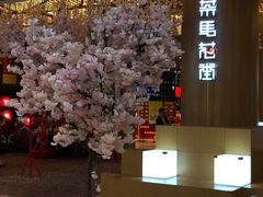 -茶马花街(城西银泰城店)