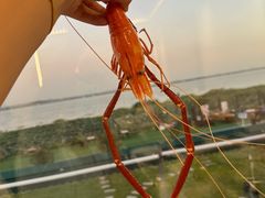 -七的湖·晚芳亭·阳澄湖农家菜·大闸蟹(莲花岛店)