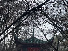 -岳麓山风景名胜区