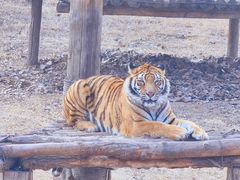 -济南野生动物世界