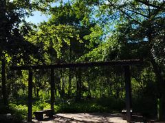 -西湖风景区-江洋畈生态公园