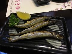 -左舞日本料理