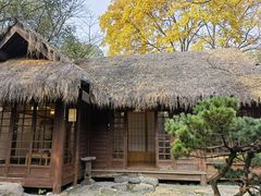 -中国茶叶博物馆(双峰馆区)