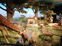 -国家自然博物馆