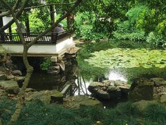 -上海醉白池公园