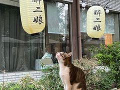 -醉二娘正宗西昌火盆烧烤(大丰店)