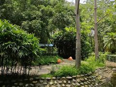 -广东茂名森林公园