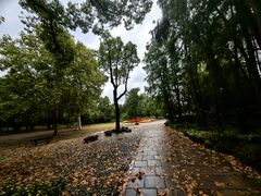 -上海共青森林公园